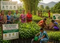 odisha-women-led-green-livelihoods-plantation-economy